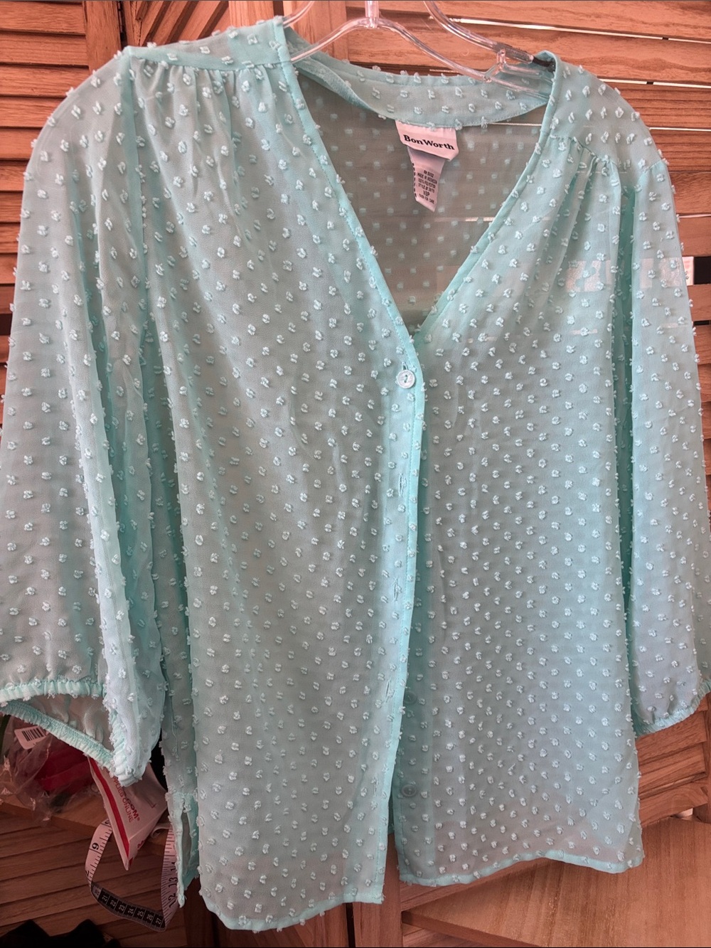 Bon Worth Mint Green Swiss Dot Sheer Blouse XSP